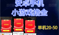 (5945)小游戏撸金,单手机日20-50,第二弹,更详细的养机流程