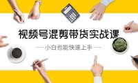（5975）视频号-混剪带货实战课，小白也能快速上手（10节课）
