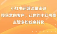 （6003）小红书运营流量密码，揽获意向客户，让你的小红书高点赞多粉丝高转化