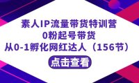 （6008）繁星·计划素人IP流量带货特训营：0粉起号带货 从0-1孵化网红达人（156节）