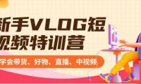 （6020）新手VLOG短视频特训营：学会带货、好物、直播、中视频、赚Q方法（16节课）