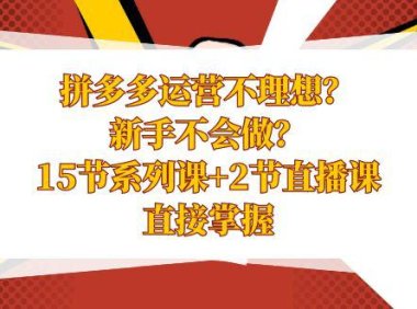 (5906)拼多多运营不理想?新手不会做?15节系列课+2节直播课,直接掌握