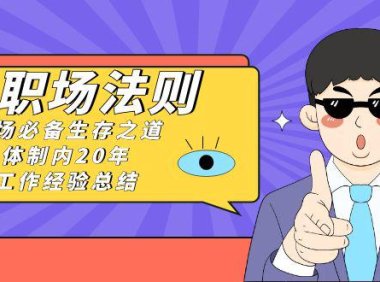 （5933）《职场 法则》职场必备生存之道，体制内20年 工作经验总结（17节课）