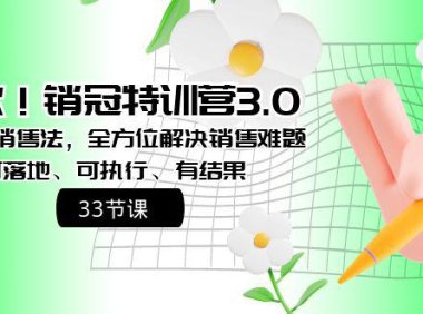 （5938）爆款！销冠特训营3.0之顺人性销售法，全方位解决销售难题、可落地、可执行、有结果