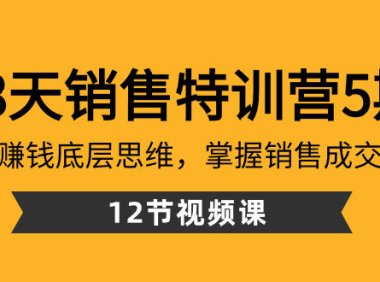 （5963）28天·销售特训营5期：了解赚钱底层思维，掌握销售成交密码（12节课）