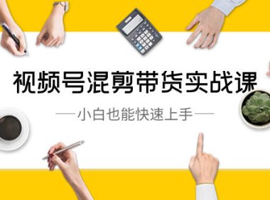 （5975）视频号-混剪带货实战课，小白也能快速上手（10节课）