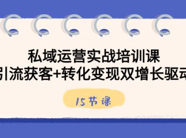 （5982）私域运营实战培训课，引流获客+转化变现双增长驱动（15节课）