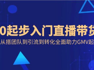 （5995）从0起步入门直播带货，从搭团队到引流到转化全面助力GMV起步