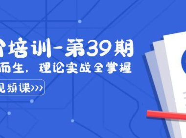 （5999）某收费竞价培训-第39期：为实用而生，理论实战全掌握（30节课）