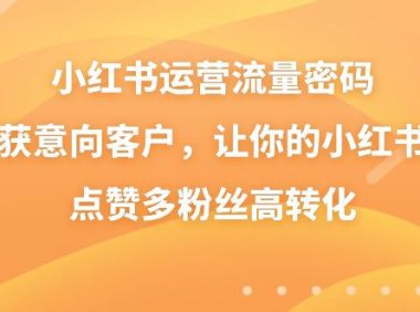 （6003）小红书运营流量密码，揽获意向客户，让你的小红书高点赞多粉丝高转化