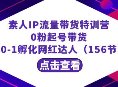 （6008）繁星·计划素人IP流量带货特训营：0粉起号带货 从0-1孵化网红达人（156节）