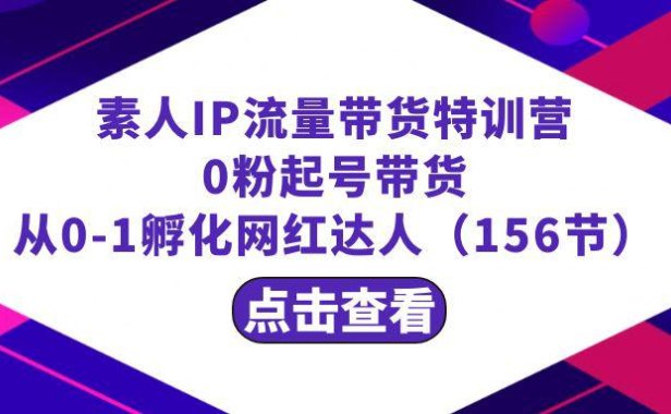 (6008)繁星·计划素人IP流量带货特训营:0粉起号带货 从0-1孵化网红达人(156节)