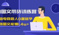 （6031）AI图文带货训练营：抖音电商新人0基础学，几张图文能赚1.4w+