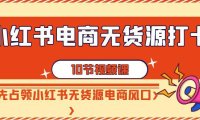 (6051)小红书电商-无货源打卡,抢先占领小红书无货源电商风口(10节课)