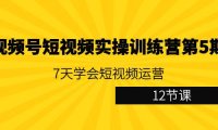 （6056）视频号短视频实操训练营第5期：7天学会短视频运营（12节课）