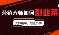 (6065)营销大师如何割韭菜:流量大师/讲故事大师/话术大师/卖货大师/成交大师/变现大师/影响力大师/裂变大师