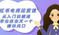 (6068)2024小红书-电商运营课,从入门到精通,带你抓住又一个赚钱风口(50节课)