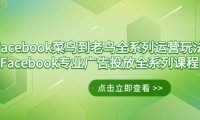 (6071)Facebook-菜鸟到老鸟全系列运营玩法+Facebook-专业广告投放全系列课程