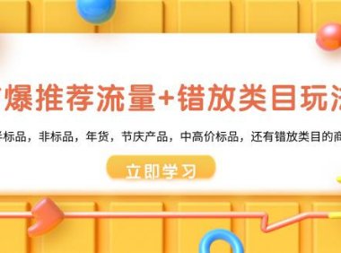 (6035)魔方·爆推荐流量+错放类目玩法:适合应季半标品,非标品,年货,节庆产品,中高价标品,还有错放类目的商家