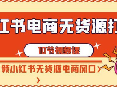 (6051)小红书电商-无货源打卡,抢先占领小红书无货源电商风口(10节课)