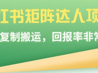 （6054）小红书矩阵达人项目，直接复制搬运，回报率非常高