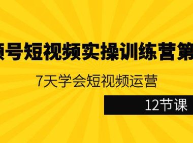 （6056）视频号短视频实操训练营第5期：7天学会短视频运营（12节课）