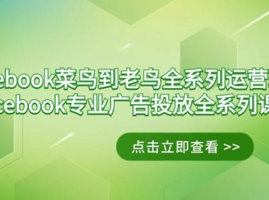 (6071)Facebook-菜鸟到老鸟全系列运营玩法+Facebook-专业广告投放全系列课程