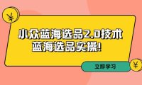 (6109)拼多多培训第33期:小众蓝海选品2.0技术-蓝海选品实操!