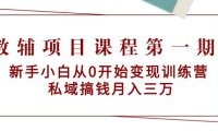 (6117)教辅项目课程第一期:新手小白从0开始变现训练营 私域搞钱月入三万