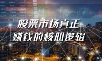 （6128）某公众号付费文章《股票市场真正赚钱的核心逻辑》