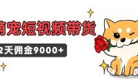 （6130）东哲日记·萌宠短视频带货，2天佣金9000+