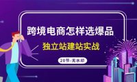 (6134)跨境电商怎样选爆品,独立站建站实战(20节高清无水印课)