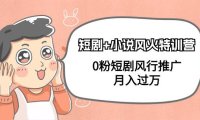 (6137)短剧+小说风火特训营,0粉短剧风行推广,月入过万(102节课)