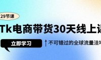 (6162)Tk电商带货30天线上课,不可错过的全球流量洼地(29节课)