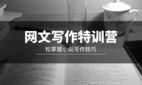 (6177)网文-写作特训营,松掌握小说写作技巧(20节视频课)