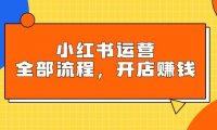 (6179)小红书运营全部流程,掌握小红书玩法规则,开店赚钱