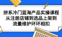 (6180)拼系冷门蓝海产品实操课程,从注册店铺到选品上架到流量维护环环相扣