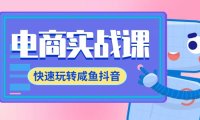 (6181)电商实战课,快速玩转咸鱼抖音,全体系全流程精细化咸鱼电商运营-71节课