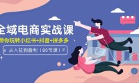 (6182)全域电商实战课:从入驻到盈利,带你玩转小红书+抖音+拼多多(80节课)