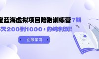 (6184)黄岛主《淘宝蓝海虚拟项目陪跑训练营7期》每天200到1000+的纯利润