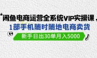 (6187)闲鱼电商运营全系统VIP实战课,1部手机随时随地卖货,新手日出30单月入5000