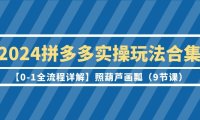 (6190)2024拼多多实操玩法合集【0-1全流程详解】照葫芦画瓢(9节课)