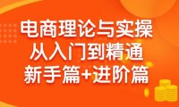 (6197)电商理论与实操从入门到精通:抖店+淘系+多多,新手篇+进阶篇