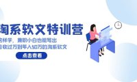 （6200）淘系软文特训营：这样学，兼职小白也能写出月收过万到年入50万的淘系软文