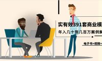 (6209)真实有效391套商业模式,年入几十到几百万案例解析(电子书+视频+图文)