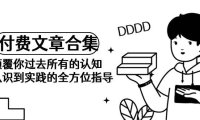 （6219）《某公众号付费文章合集》颠覆你过去所有的认知 从认识到实践的全方位指导