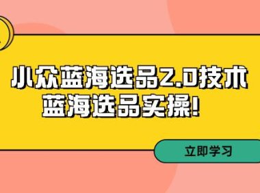 (6109)拼多多培训第33期:小众蓝海选品2.0技术-蓝海选品实操!