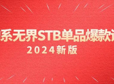 (6111)淘系 无界STB单品爆款课(2024)付费带动免费的核心逻辑,万相台无界关键词推广/精准人群的核心