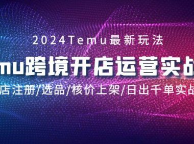 (6112)2024Temu跨境开店运营实战课,开店注册/选品/核价上架/日出千单实战课