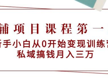 (6117)教辅项目课程第一期:新手小白从0开始变现训练营 私域搞钱月入三万